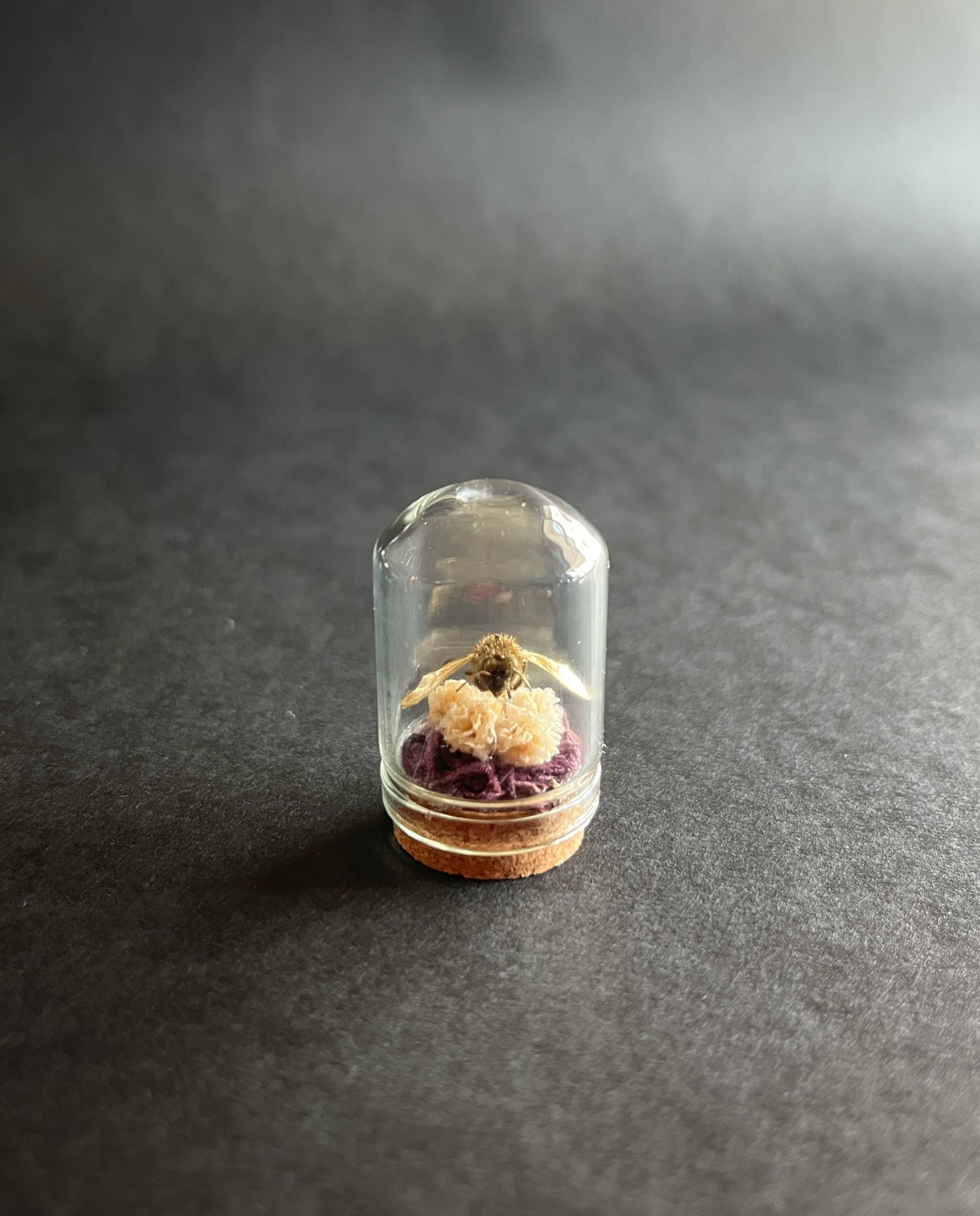 Gold Bee in Tiny Glass Dome