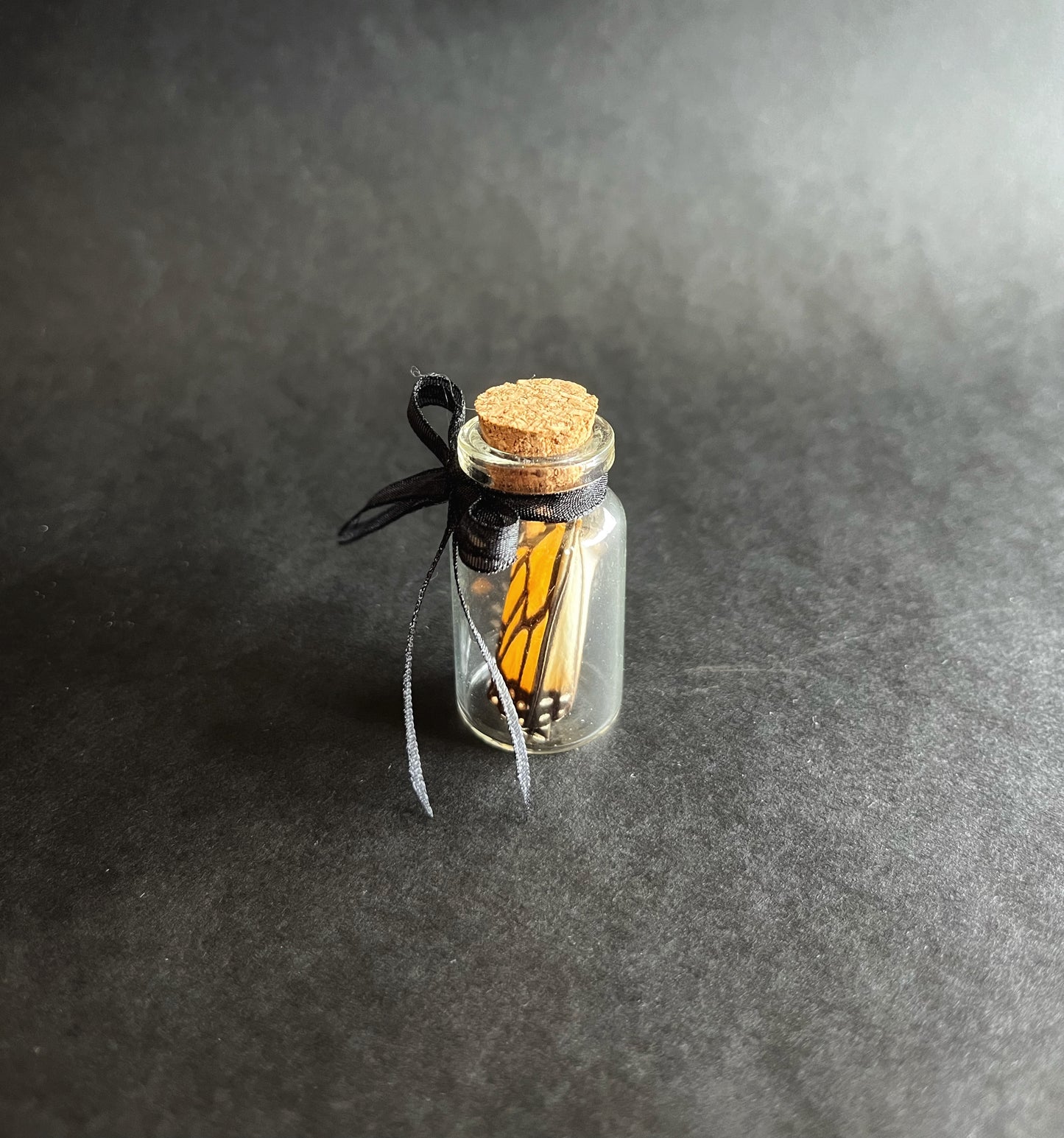 Butterly Wing in Jar