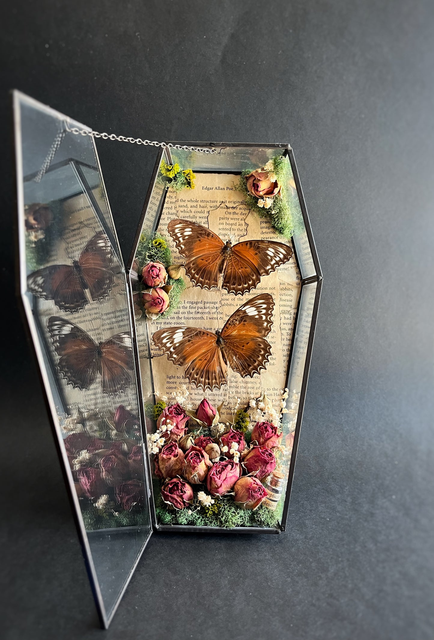 Butterflies Displayed in Glass Coffin with Dried Roses