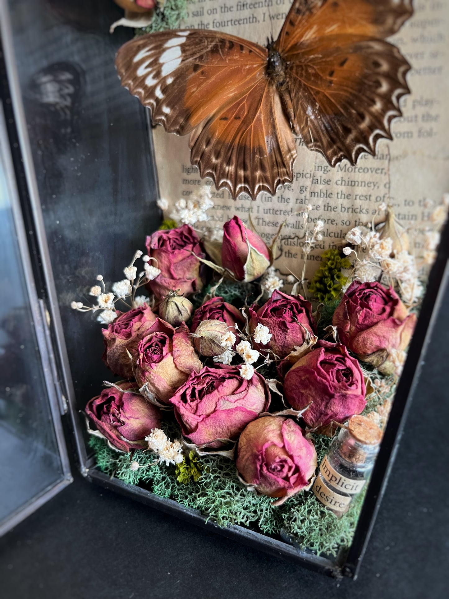 Butterflies Displayed in Glass Coffin with Dried Roses
