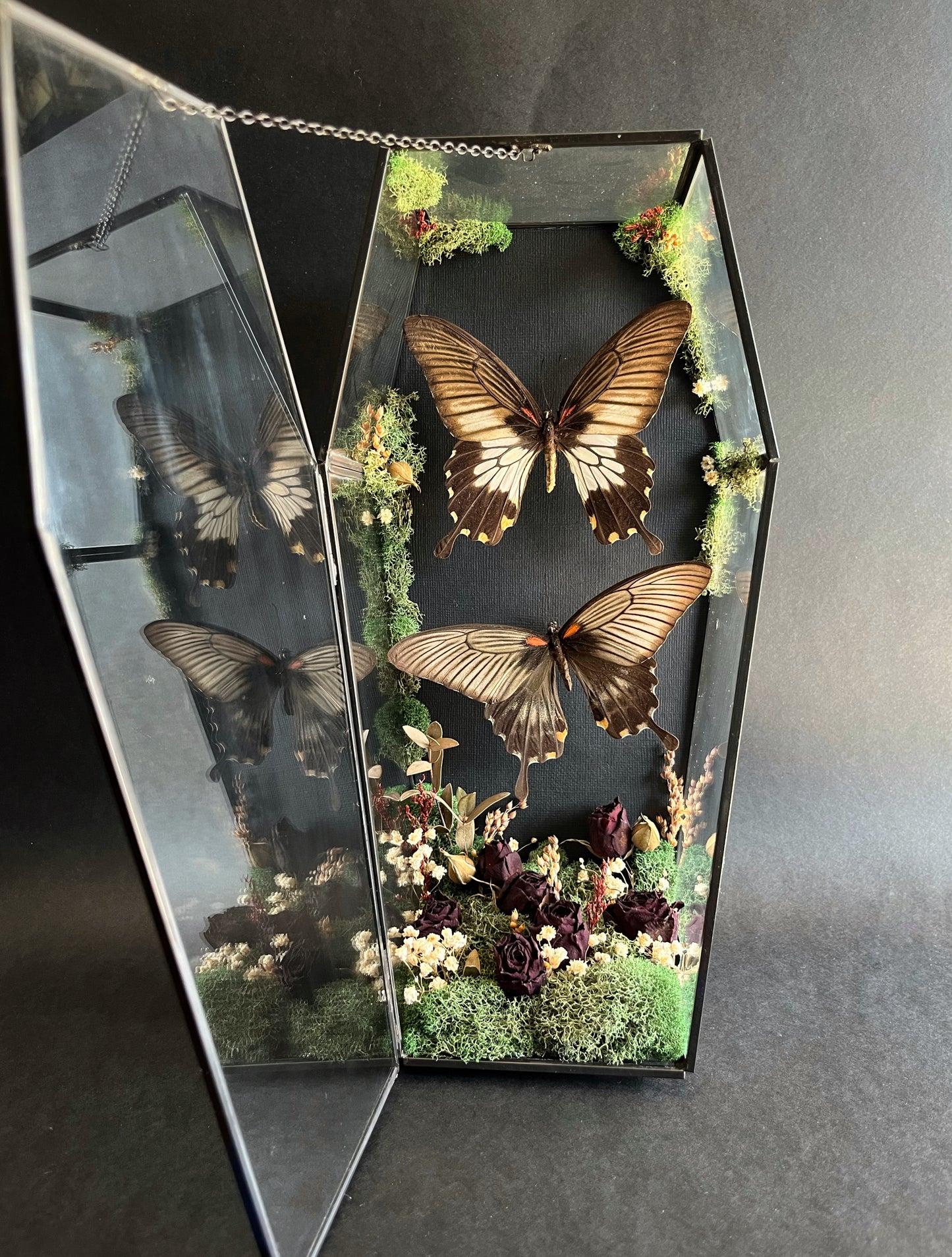 Butterflies in Large Coffin With Dried Florals