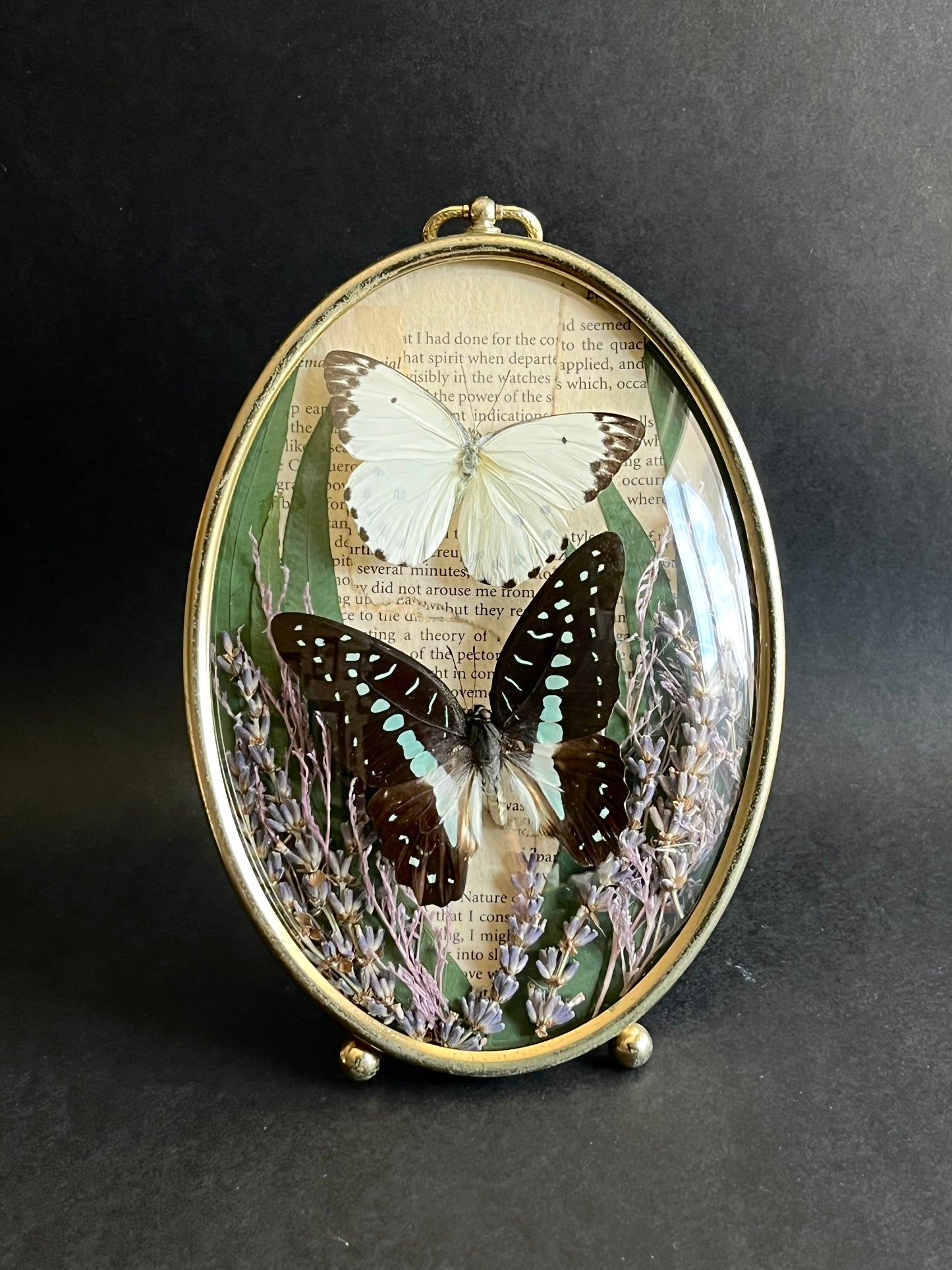 Butterflies in Vintage Bubble Glass Frame