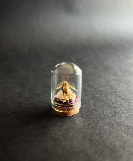 Gold Bee in Tiny Glass Dome