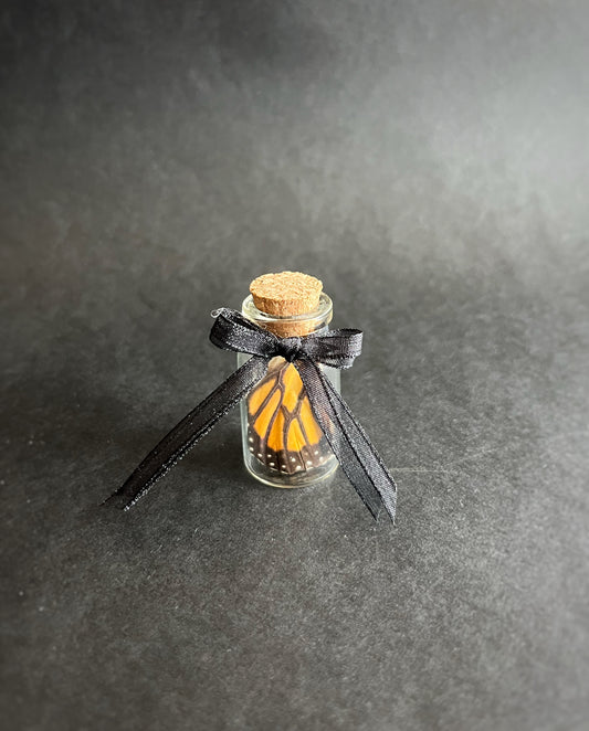 Butterly Wing in Jar