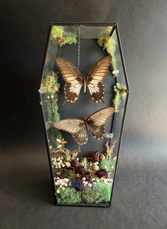 Butterflies in Large Coffin With Dried Florals